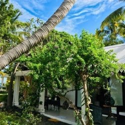 Location vacances à La Réunion
